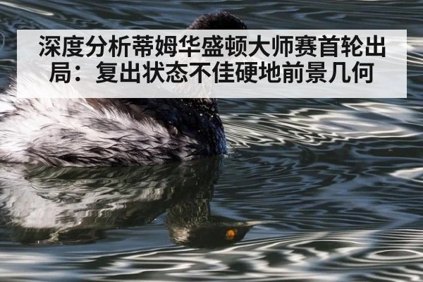 深度分析蒂姆华盛顿大师赛首轮出局：复出状态不佳硬地前景几何（jiuyou game）